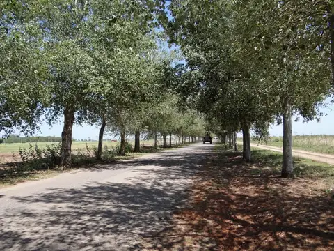 Terreno en Venta de 615,0 m2