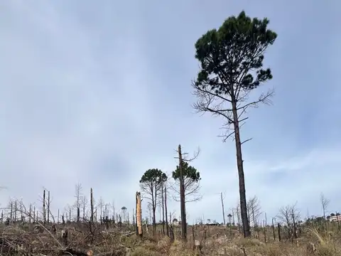 Terreno en Venta de 3000,0 m2