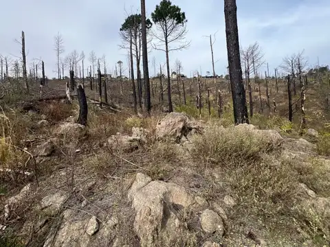 Terreno en Venta de 3000,0 m2