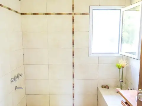 Rio o Arroyo Carapachay Rosa Marina II 100