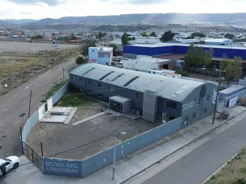 Constituyentes  20