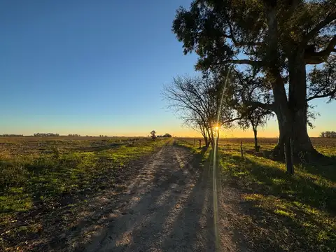 Bajada Rolin Ford