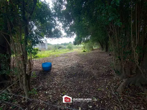 Lote en Venta en V. De Obligado, San Pedro | Vista al Río | 1.250 m²
