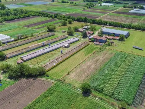 VENTA FRACCION 11 HECTAREAS ZONIFICACION CR1 PILAR