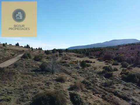 Terreno en Venta de 40000,0 m2