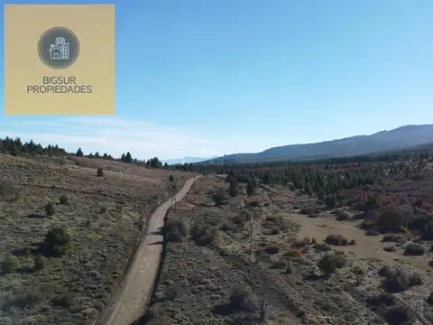 ARROYO DEL MEDIO