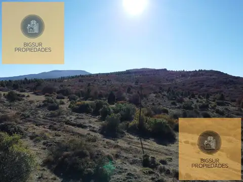 Terreno en Venta de 40000,0 m2