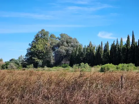 Venta 83Hs sobre Ruta 9 , con cantera habilitada. Villa Ramallo