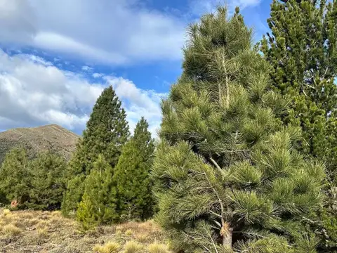 Terreno en Venta en San Carlos de Bariloche, USD 75.466