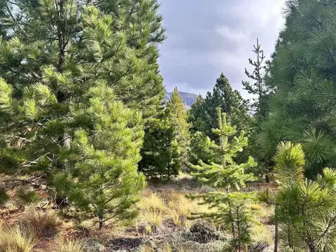 Terreno en Venta de 1572,0 m2