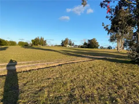 Campo en Venta Chacra