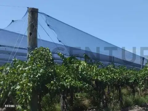 Venta de Finca en San Martin