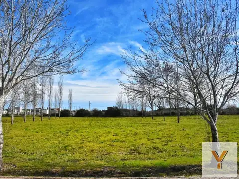 Terreno en Venta de 1921,0 m2