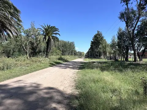 VENTA LOTE TERRENO EN CHASCOMUS