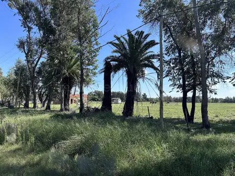 Terreno en Venta en Chascomus, USD 35.000