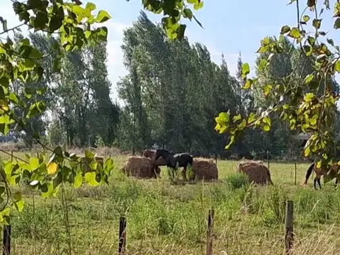 Terreno en Venta en Estancia Las Malvinas, USD 50.000