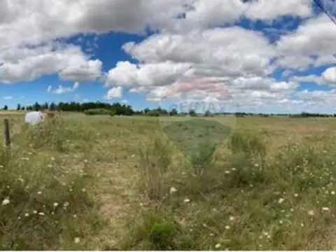 Ruta 7 km 50.900, a 400m por camino vecinal.