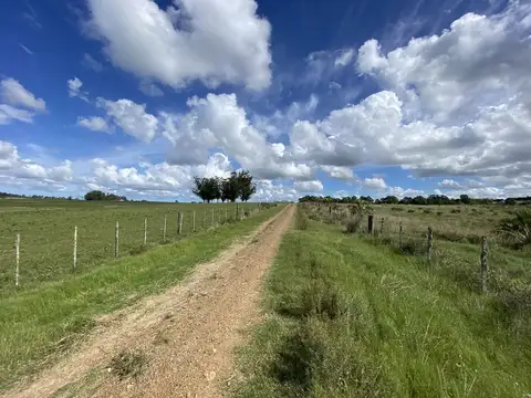 Ruta 104