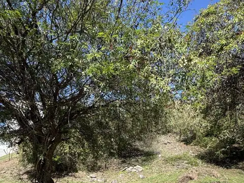 ¡Venta! Lote en La Rufina ¡Con Pendiente Positiva Con Escritura!