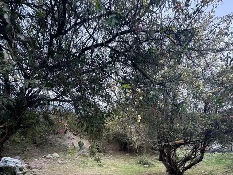 Lote en La Rufina