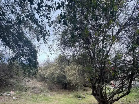 ¡Venta! Lote en La Rufina ¡Con Pendiente Positiva Con Escritura!