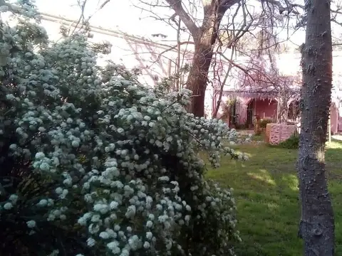 Miguens y De la Paz
