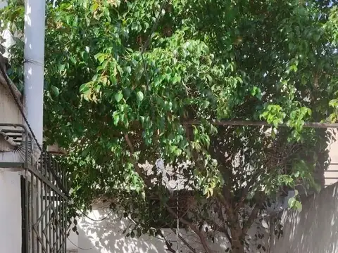 Depto Tipo Casa en Alquiler en La Plata, $ 800.000
