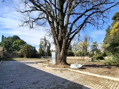 Terreno en Venta 34  mts Fondo