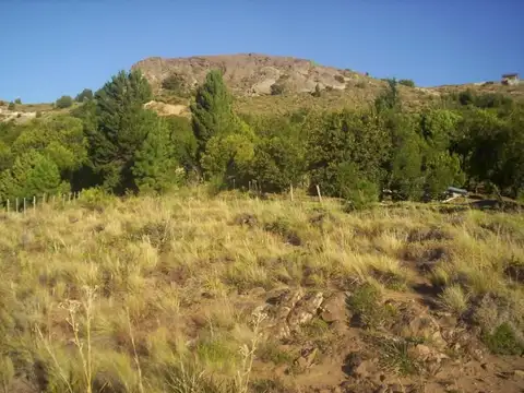 Terreno en Venta de 1596,0 m2