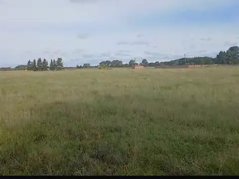 Jose Mármol entre Gutierrez y Payró