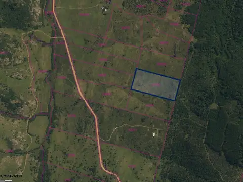 RUTA 81 KM 110