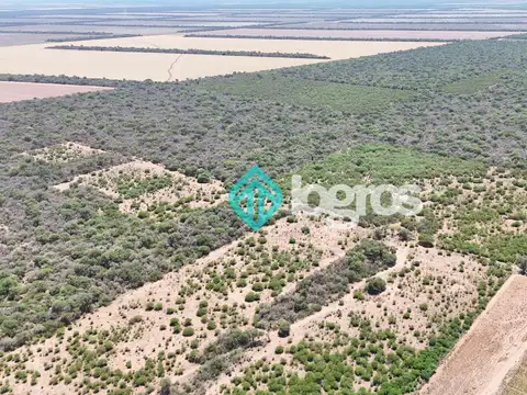 Finca de 260 has en venta en General Pizarro, Anta, Salta