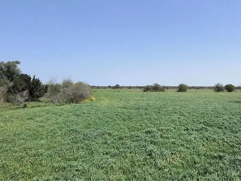 Campo de 9,1 has en Nogoyá