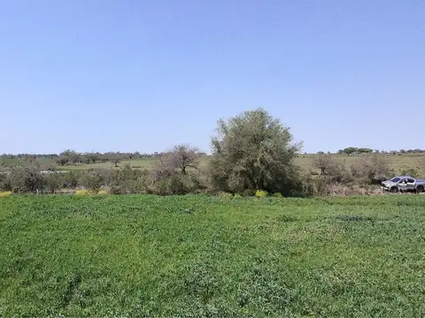 Campo de 9,1 has en Nogoyá