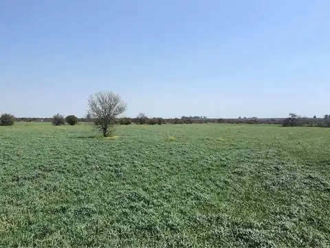 Campo de 9,1 has en Nogoyá
