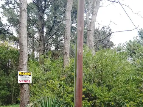 Terreno en Venta en Alfalad, USD 60.000