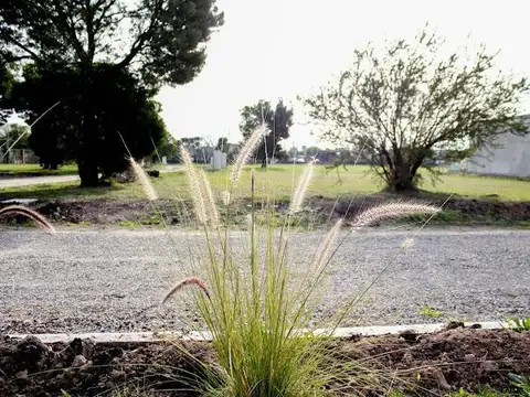 Terreno en venta - 233Mts2 - Altos del Plata, La Plata