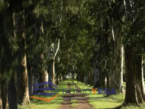 Campo a la venta en Santa Ines Pilar