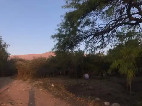 Terreno en Venta 20  mts Frente