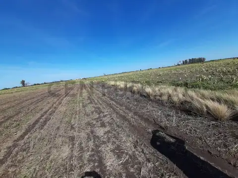 Oficina en Venta en Suardi, USD 465.000