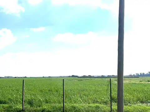 Terreno en Venta de 3908,0 m2