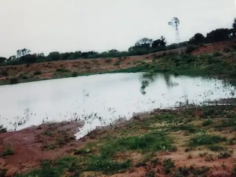 Campo en Choya, Santiago del Estero