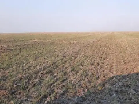 Campo en Venta de 3.000  ha