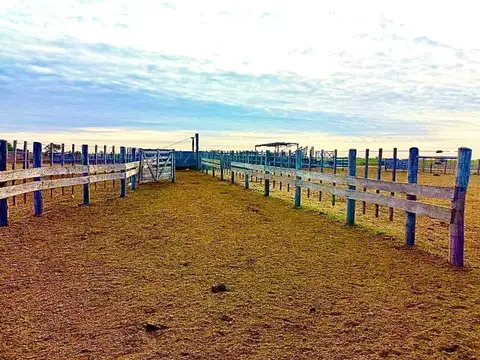 Campo en Venta Agrícola