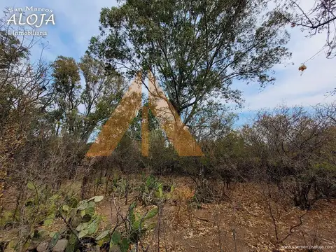 Terreno en Venta de 1600,0 m2