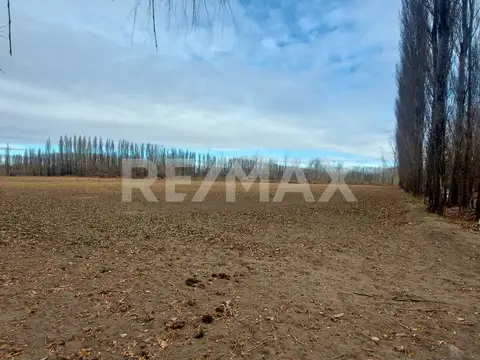 VENTA CHACRA 5,42 HA - SENILLOSA