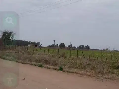 Terreno en Venta 49  mts Frente