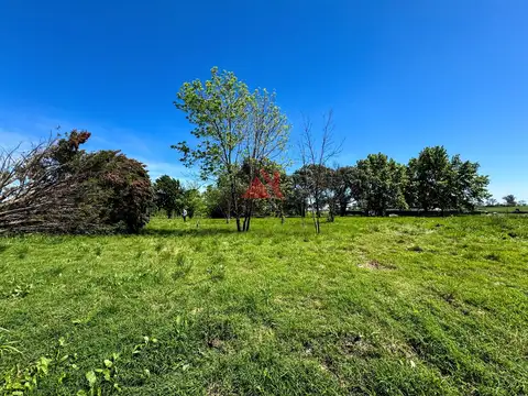 Terreno Lote  en Venta en El Tilbury, Pilara, Pilar