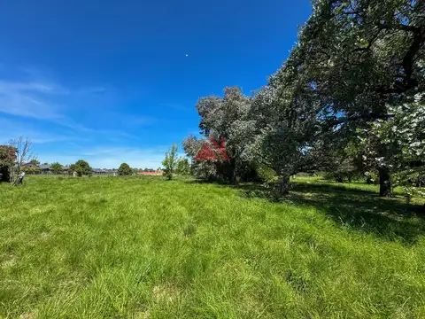 Terreno en Venta de 800,0 m2