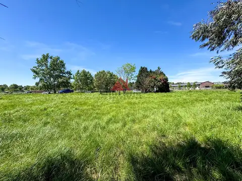 Pilara -El Tilbury 100